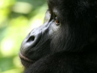 /album/fotos-afrika/img-6013-small-jpg/